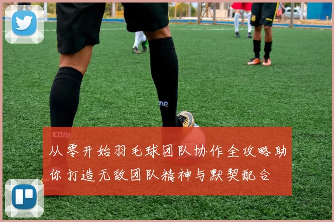 从零开始羽毛球团队协作全攻略助你打造无敌团队精神与默契配合